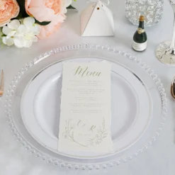 6 Pack Acrylic Plastic Beaded Rim Charger Plates 12" -Home Decor Promotional Store CHRG PLST4239 CLR 02