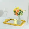 Metallic Resin Decorative Vanity Serving Tray, Rectangle Mirrored Tray - 15"x10"