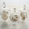 Set Of 3 Glass Apothecary Candy Jars With Lids - 9"/10"/11"