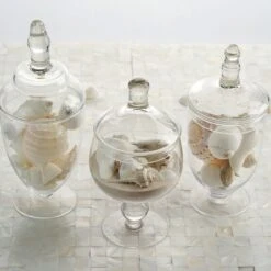 Set Of 3 Glass Apothecary Candy Jars With Lids - 9"/10"/11"