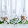 Set Of 3 Glass Apothecary Candy Jars With Lids - 10"/12"/14"