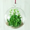 Set Of 4 | 4" Air Plant Glass Terrarium Graceful Globe Hanging Plant Holders