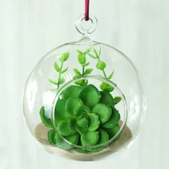 Set Of 4 | 4" Air Plant Glass Terrarium Graceful Globe Hanging Plant Holders