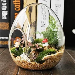 6 Pack Air Plant Glass Egg Shaped Terrarium Self Standing Planter 5" -Home Decor Promotional Store GLAS RND08 CLR D01 760x760 aceb23c3 b9c1 4967 8cbd cb2f397e712f
