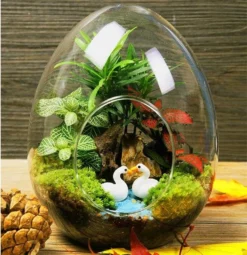 6 Pack Air Plant Glass Egg Shaped Terrarium Self Standing Planter 5" -Home Decor Promotional Store GLAS RND08 CLR D10 760x760 5dfad170 4f1e 4de3 9242 09f4c5139650