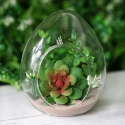 6 Pack Air Plant Glass Egg Shaped Terrarium Self Standing Planter 5" -Home Decor Promotional Store GLAS RND08 CLR 01.progressive 285ba6c6 7d83 4113 9736 bb81f9c91bb2