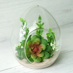6 Pack Air Plant Glass Egg Shaped Terrarium Self Standing Planter 5"