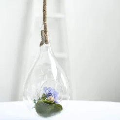 15" Teardrop Hanging Glass Terrarium With Rope - Hanging Succulent Planter