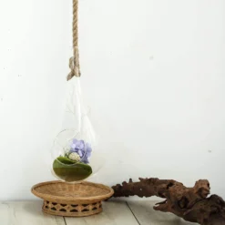 15" Teardrop Hanging Glass Terrarium With Rope - Hanging Succulent Planter -Home Decor Promotional Store GLAS RND09 CLR D09.progressive 0e897d62 1d0c 43a5 b08f 82bc059127c4