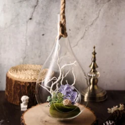 15" Teardrop Hanging Glass Terrarium With Rope - Hanging Succulent Planter -Home Decor Promotional Store GLAS RND09 CLR 02 6aa86060 daee 4f0d a563 59defe30a120