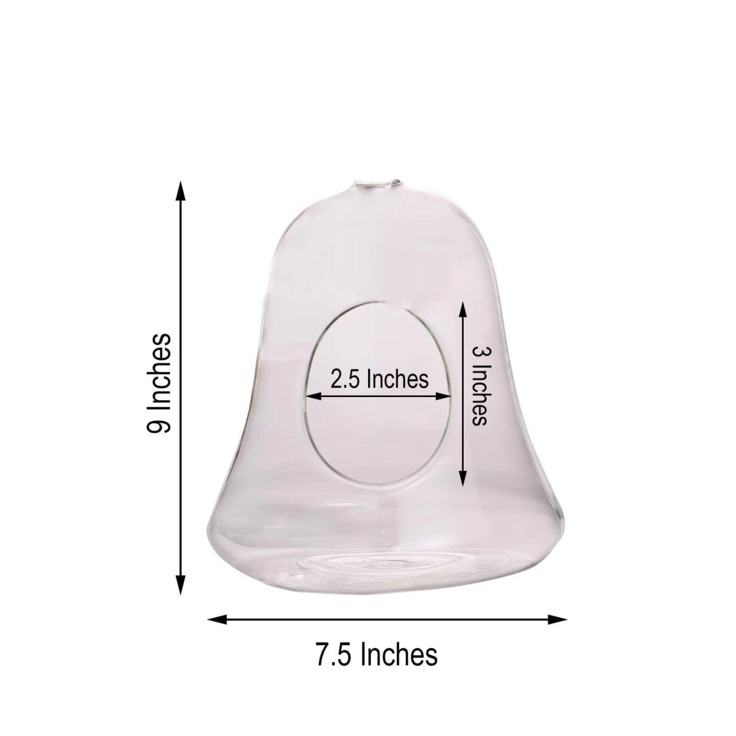 Air Plant Hanging Glass Bell Shaped Terrarium With Twine Rope, Free-Falling Planter 9" 8 Air Plant Hanging Glass Bell Shaped Terrarium With Twine Rope, Free-Falling Planter 9" - Image 8