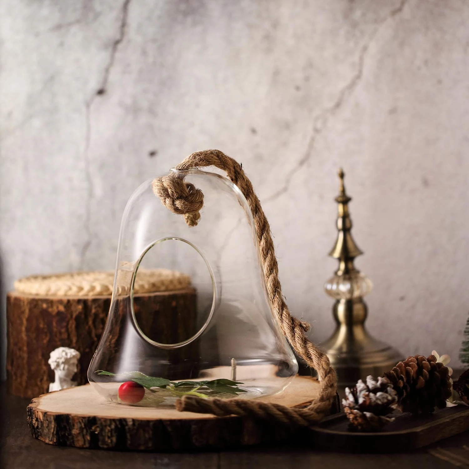 Air Plant Hanging Glass Bell Shaped Terrarium With Twine Rope, Free-Falling Planter 9" 4 Air Plant Hanging Glass Bell Shaped Terrarium With Twine Rope, Free-Falling Planter 9" - Image 4