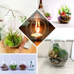 6 Pack Air Plant Glass Egg Shaped Terrarium Self Standing Planter 5" -Home Decor Promotional Store GLAS RND EGG EBC2.progressive 8ef48467 f0ee 4a82 8a89 52ab11294558