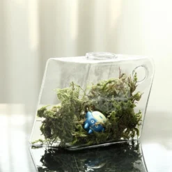 3 Pack - Rhombus Glass Wall Vase - Indoor Wall Mounted Planters - Hanging Terrariums -Home Decor Promotional Store GLAS VASE003 DIA CLR D11