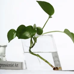 3 Pack - Rhombus Glass Wall Vase - Indoor Wall Mounted Planters - Hanging Terrariums -Home Decor Promotional Store GLAS VASE003 DIA CLR D21