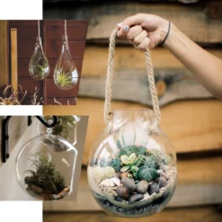 3 Pack - Egg Shaped Glass Wall Vase - Indoor Wall Mounted Planters - Hanging Terrariums 26 3 Pack - Egg Shaped Glass Wall Vase - Indoor Wall Mounted Planters - Hanging Terrariums -Home Decor Promotional Store GLAS VASE003 EBC2 5bfe8a63 b7ee 4e58 bc08 75452ffbd9b2