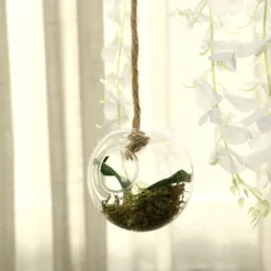 3 Pack - Classic Round Glass Wall Vase - Indoor Wall Mounted Planters - Hanging Terrariums -Home Decor Promotional Store GLAS VASE003 RND4 CLR D13.progressive cd9d44ef 48b8 4c90 b898 b844d36b28ee