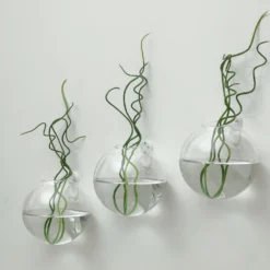 3 Pack - Classic Round Glass Wall Vase - Indoor Wall Mounted Planters - Hanging Terrariums -Home Decor Promotional Store GLAS VASE003 RND4 CLR D27.progressive 50102c1a 7364 42f8 a323 6cda6b212cc5