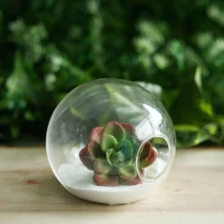 3 Pack - Classic Round Glass Wall Vase - Indoor Wall Mounted Planters - Hanging Terrariums -Home Decor Promotional Store GLAS VASE003 RND4 CLR 02.progressive 7fb71f34 4d60 4ef4 9844 87191b17de1a