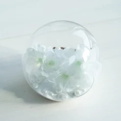 3 Pack - Modish Round Glass Wall Vase - Indoor Wall Mounted Planters - Hanging Terrariums -Home Decor Promotional Store GLAS VASE003 RND5 CLR D08