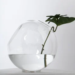 3 Pack - Modish Round Glass Wall Vase - Indoor Wall Mounted Planters - Hanging Terrariums -Home Decor Promotional Store GLAS VASE003 RND5 CLR D20 1229295e 8c30 4004 9054 d50f46762f54