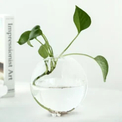 3 Pack - Modish Round Glass Wall Vase - Indoor Wall Mounted Planters - Hanging Terrariums -Home Decor Promotional Store GLAS VASE003 RND5 CLR D22