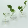 3 Pack - Modish Round Glass Wall Vase - Indoor Wall Mounted Planters - Hanging Terrariums