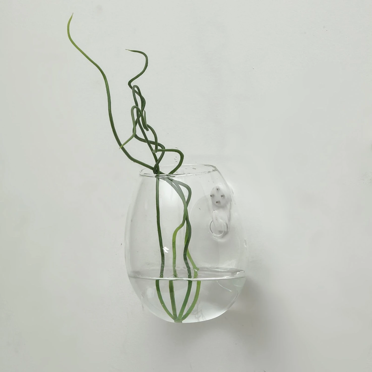 3 Pack - Egg Shaped Glass Wall Vase - Indoor Wall Mounted Planters - Hanging Terrariums 12 3 Pack - Egg Shaped Glass Wall Vase - Indoor Wall Mounted Planters - Hanging Terrariums - Image 12