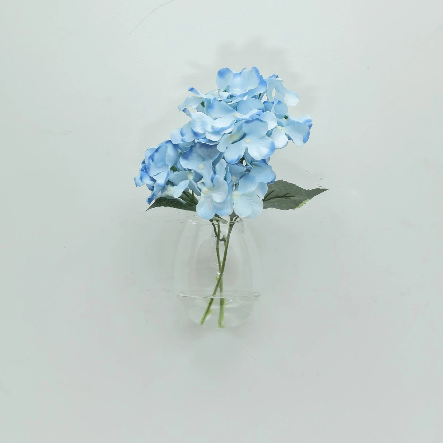 3 Pack - Egg Shaped Glass Wall Vase - Indoor Wall Mounted Planters - Hanging Terrariums 13 3 Pack - Egg Shaped Glass Wall Vase - Indoor Wall Mounted Planters - Hanging Terrariums - Image 13