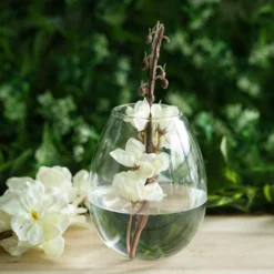 3 Pack - Egg Shaped Glass Wall Vase - Indoor Wall Mounted Planters - Hanging Terrariums 25 3 Pack - Egg Shaped Glass Wall Vase - Indoor Wall Mounted Planters - Hanging Terrariums -Home Decor Promotional Store GLAS VASE003 TEAR CLR 02 156630a9 b0b7 4201 b240 b5fb8536d8a2