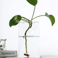 3 Pack - Trapezoid Glass Wall Vase - Indoor Wall Mounted Planters - Hanging Terrariums 24 3 Pack - Trapezoid Glass Wall Vase - Indoor Wall Mounted Planters - Hanging Terrariums -Home Decor Promotional Store GLAS VASE003 TPZ CLR D21