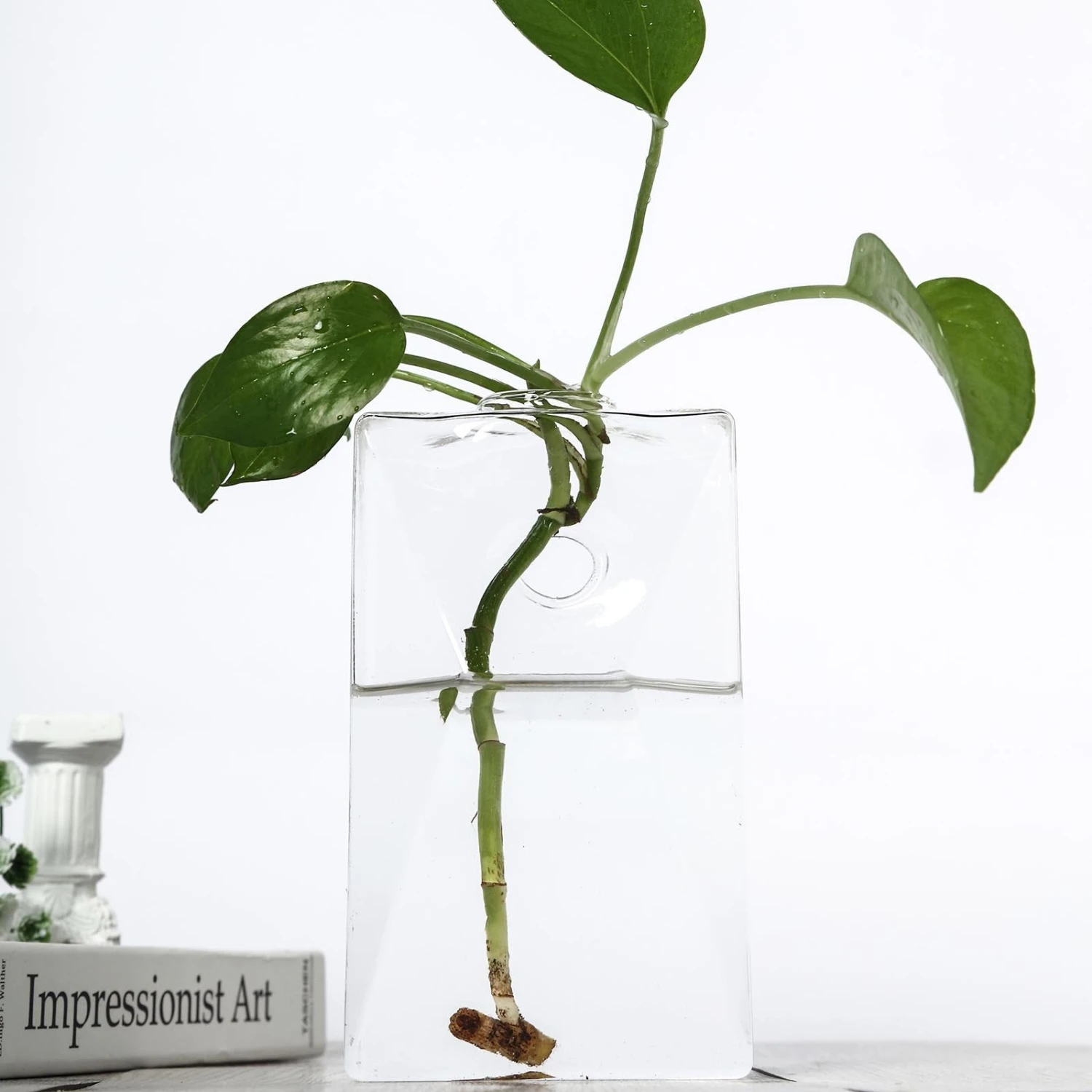 3 Pack - Trapezoid Glass Wall Vase - Indoor Wall Mounted Planters - Hanging Terrariums 5 3 Pack - Trapezoid Glass Wall Vase - Indoor Wall Mounted Planters - Hanging Terrariums - Image 5