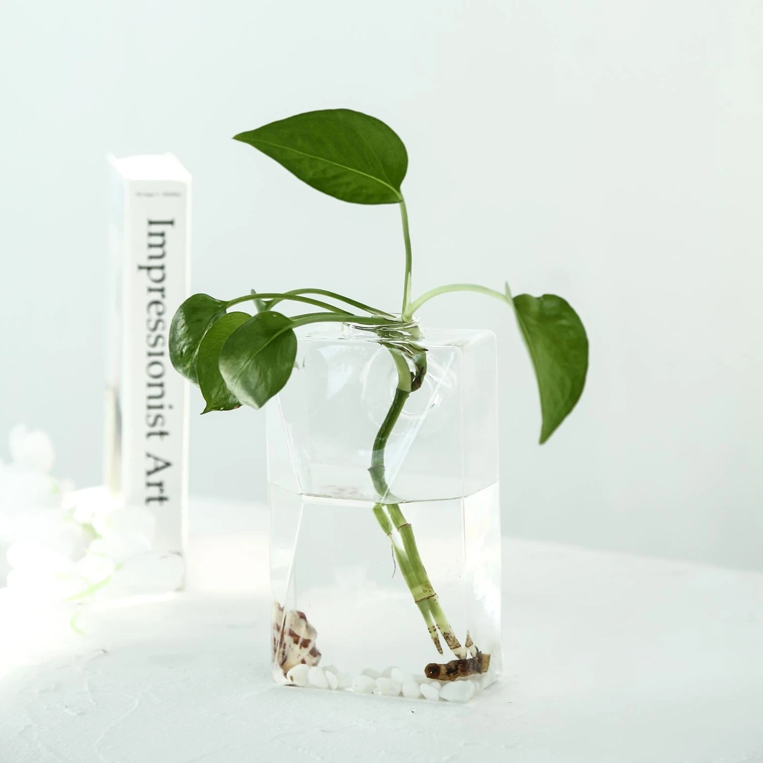 3 Pack - Trapezoid Glass Wall Vase - Indoor Wall Mounted Planters - Hanging Terrariums 13 3 Pack - Trapezoid Glass Wall Vase - Indoor Wall Mounted Planters - Hanging Terrariums - Image 13