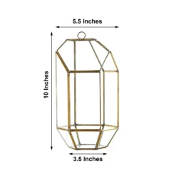 Heptagon Prism Gold Metal Geometric Glass Terrarium, Multipurpose Air Plants Holder 10" -Home Decor Promotional Store GLAS VASE005 GOLD 98.progressive dcb9d505 a30c 4e1d b819 650fa288d138