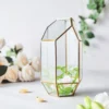 Heptagon Prism Gold Metal Geometric Glass Terrarium, Multipurpose Air Plants Holder 10"