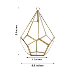 Hanging Gold Metal Frame Glass Geometric Teardrop Terrarium, Self Standing Air Plant Holder 9" -Home Decor Promotional Store GLAS VASE006 GOLD 98.progressive 41e6d249 28b1 46c8 956b 025088dbdebf