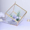 Heptahedron Hanging Gold Metal Geometric Glass Terrarium, Multipurpose Air Plants Holder 9"