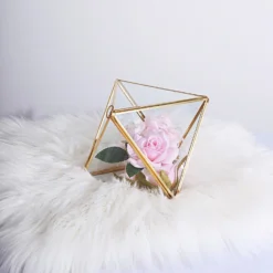Diamond Prism Hanging Gold Metal Geometric Glass Terrarium, Multipurpose Air Plants Holder 9" -Home Decor Promotional Store GLAS VASE009 GOLD D09.progressive f1363d1f 6f36 43b9 9fdd eab0abfa4b39