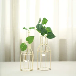 Set Of 2 | Bottle Shaped Gold Metal Frame Test Tube Bud Vases, Geometric Glass Table Centerpieces - 8",10" 15 Set Of 2 | Bottle Shaped Gold Metal Frame Test Tube Bud Vases, Geometric Glass Table Centerpieces - 8",10" -Home Decor Promotional Store IRON VASE 008 GOLD D01