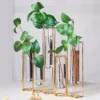 Set Of 5 Conjoined Frame Test Tube Hydroponic Vases, Geometric Table Centerpieces 15"