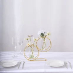 2 Pack Gold Metal Geometric Test Tube Flower Vase, Nordic Style Double Ring Glass Floating Vase Centerpiece 10" -Home Decor Promotional Store IRON VASE 012 10 GOLD D05