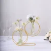 2 Pack Gold Metal Geometric Test Tube Flower Vase, Nordic Style Double Ring Glass Floating Vase Centerpiece 10"