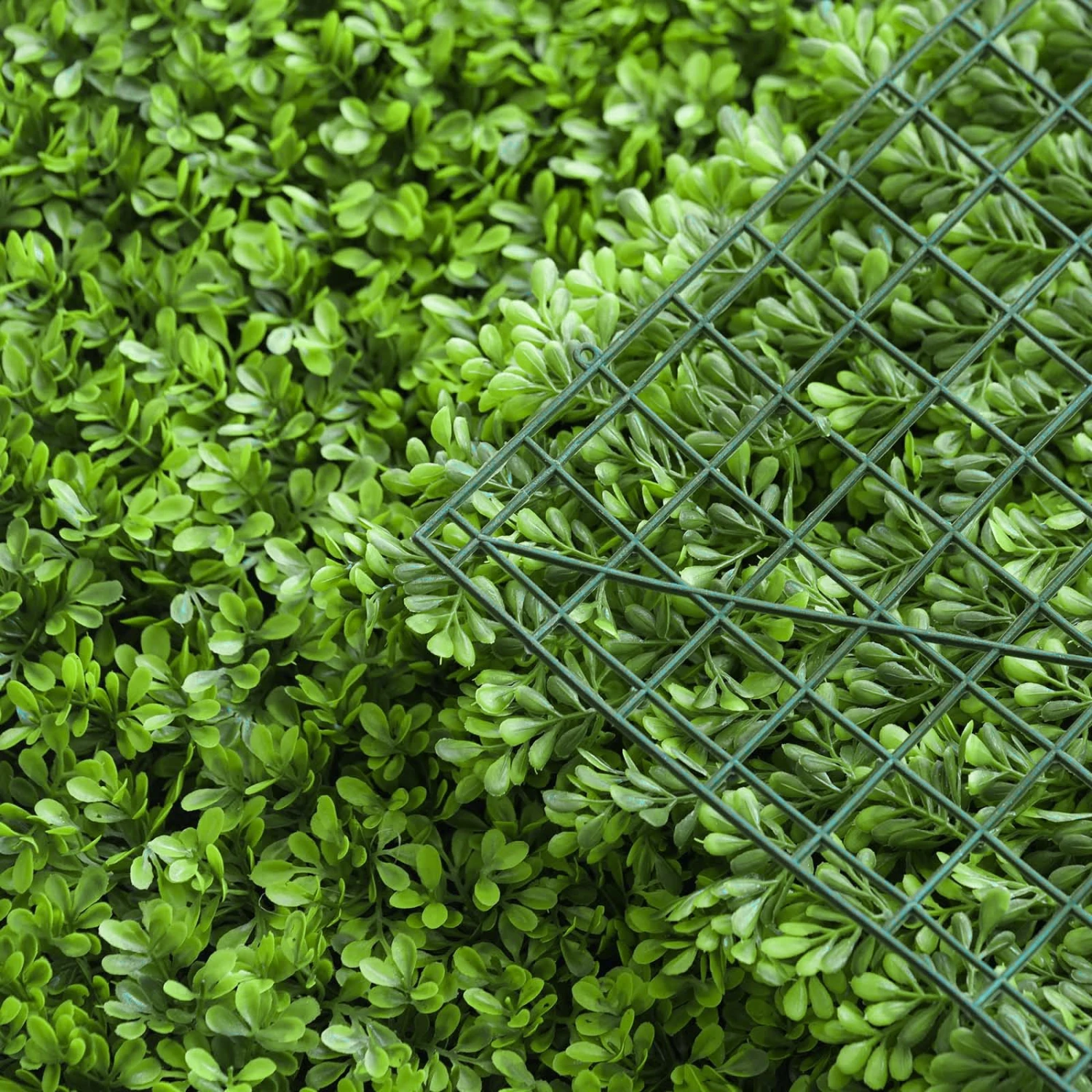 Lime Green Boxwood Hedge Genlisea Garden Wall Backdrop Mat 4 Artificial Panels 11 Sq Ft. 6 Lime Green Boxwood Hedge Genlisea Garden Wall Backdrop Mat 4 Artificial Panels 11 Sq Ft. - Image 6
