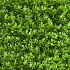 Lime Green Boxwood Hedge Genlisea Garden Wall Backdrop Mat 4 Artificial Panels 11 Sq Ft. 19 Lime Green Boxwood Hedge Genlisea Garden Wall Backdrop Mat 4 Artificial Panels 11 Sq Ft. -Home Decor Promotional Store LAY60 ORG 019 02 5