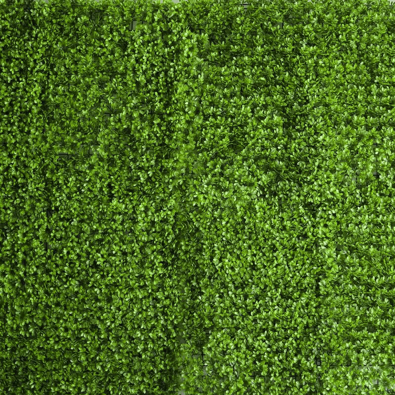 Lime Green Boxwood Hedge Genlisea Garden Wall Backdrop Mat 4 Artificial Panels 11 Sq Ft. 10 Lime Green Boxwood Hedge Genlisea Garden Wall Backdrop Mat 4 Artificial Panels 11 Sq Ft. - Image 10