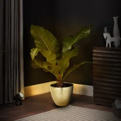 6W LED Backdrop Uplight, Outdoor Waterproof Landscape Spotlight 23 6W LED Backdrop Uplight, Outdoor Waterproof Landscape Spotlight -Home Decor Promotional Store LED SPT03 CLR1 03.progressive 377b5b3f 9553 4ac3 b0b4 aba3d4d60a58