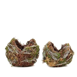 Set Of 2 | Natural Birds Nest Preserved Moss Twigs Planter Boxes, Flower Baskets - 10", 8" -Home Decor Promotional Store MOSS PLNT 009 NAT 99.progressive 727aea87 41ab 42a3 b4b8 9ecc52ce716d