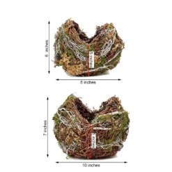 Set Of 2 | Natural Birds Nest Preserved Moss Twigs Planter Boxes, Flower Baskets - 10", 8" -Home Decor Promotional Store MOSS PLNT 009 NAT 99 M.progressive 9d6765f5 24d0 472b bb69 434d8f52c56d
