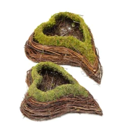 Set Of 2 | Green Heart Shaped Preserved Moss Twigs Planter Boxes, Flower Baskets - 14", 11" -Home Decor Promotional Store MOSS PLNT 014 GRN 99.progressive 3e57910c 6a30 4300 aa9e b2eb9304427d