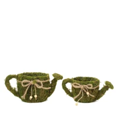 Set Of 2 | Green Watering Can Preserved Moss With Twine Planter Boxes, Flower Baskets - 11", 10" -Home Decor Promotional Store MOSS PLNT 016 GRN 99.progressive 38d4ec04 aa55 45e9 b47c 2960d336ab01